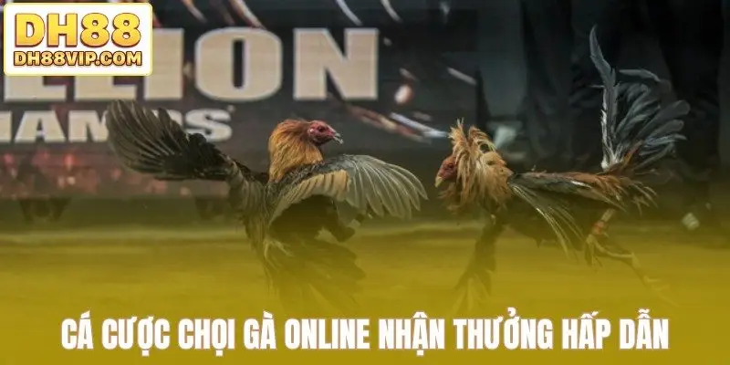 Cá cược chọi gà online nhận thưởng hấp dẫn