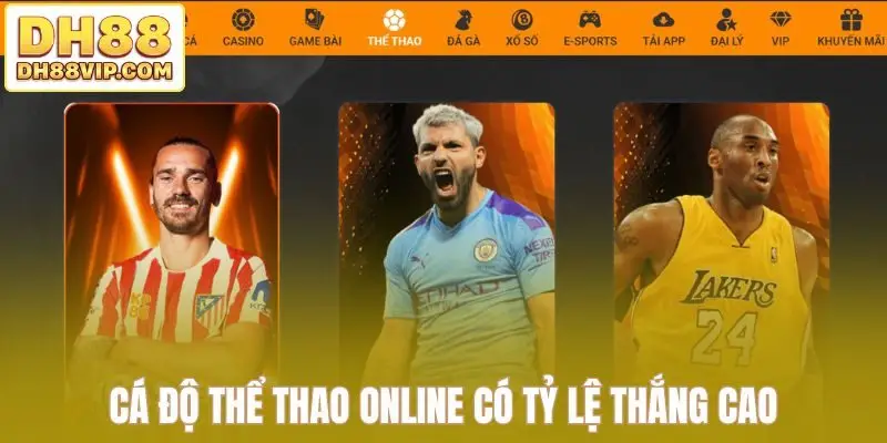 Cá độ thể thao online có tỷ lệ thắng cao