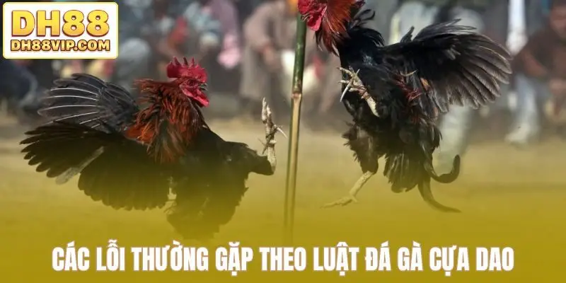 Các lỗi thường gặp theo luật đá gà cựa dao