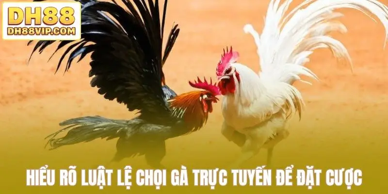 Hiểu rõ luật lệ chọi gà trực tuyến để đặt cược