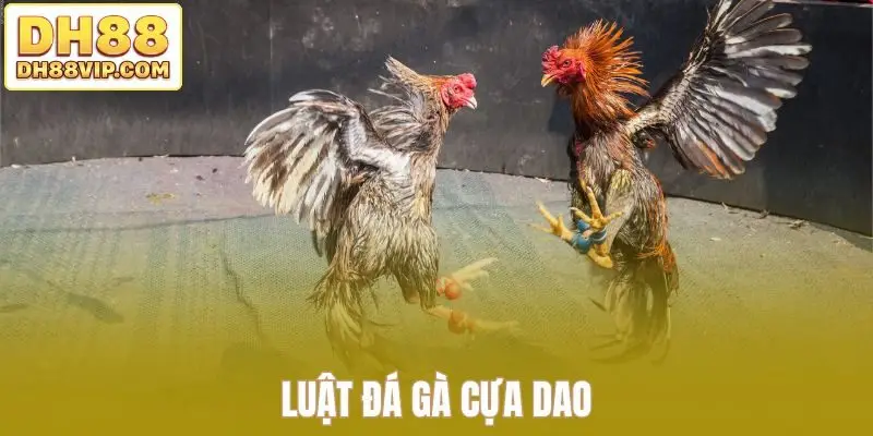 Luật đá gà cựa dao