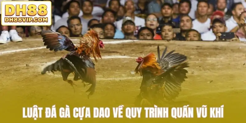 Luật đá gà cựa dao về quy trình quấn vũ khí